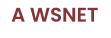 A WSNET